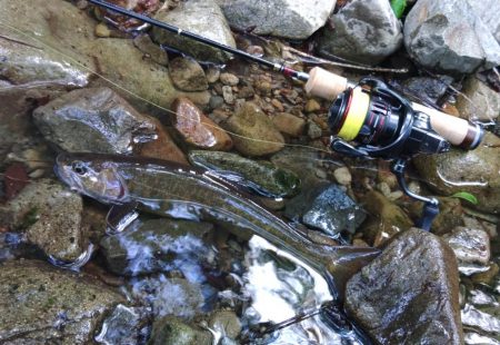 フライ名人といつもの谷へ ～長良川水系～